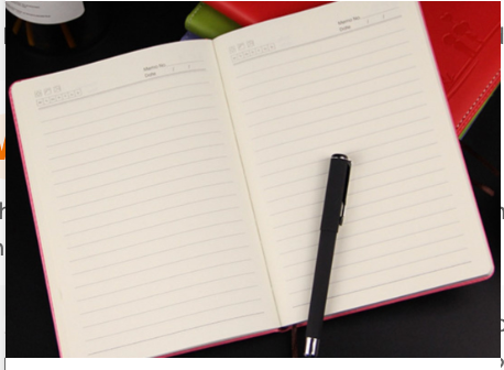 Agenda A5 couverture souple kawaii 5 coloris
